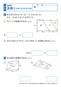 面積②（台形、ひし形、色々な形）